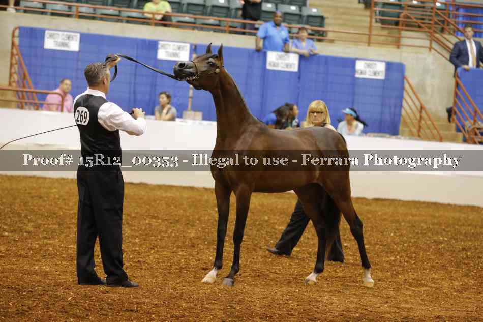 Proof Number 15R12_00353