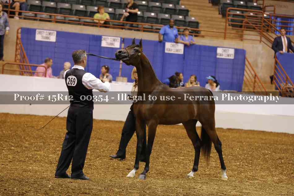 Proof Number 15R12_00354