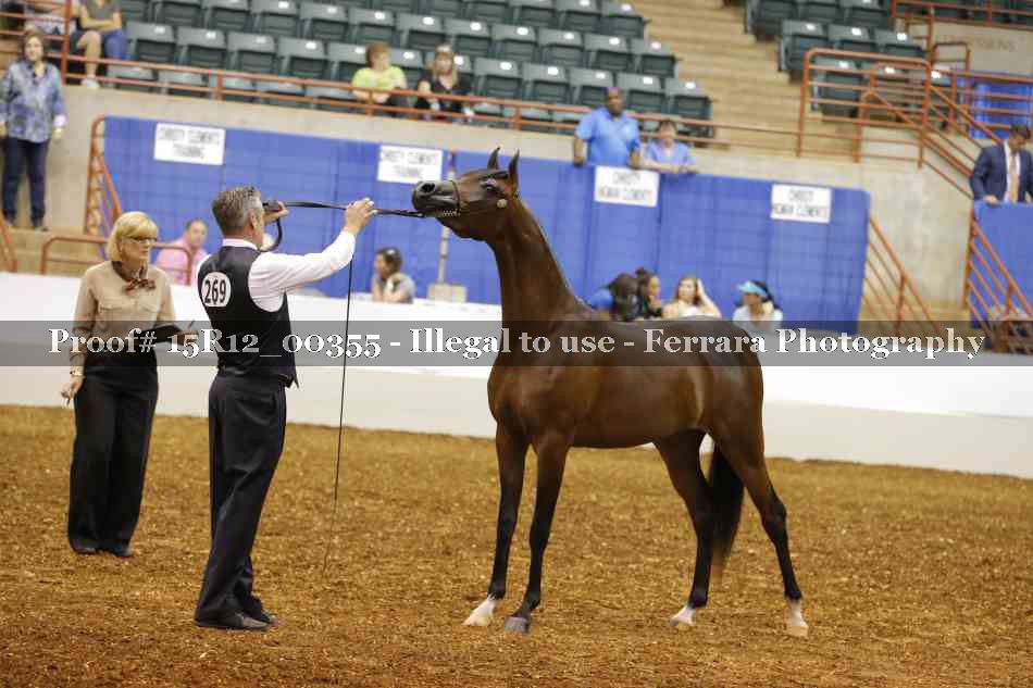 Proof Number 15R12_00355