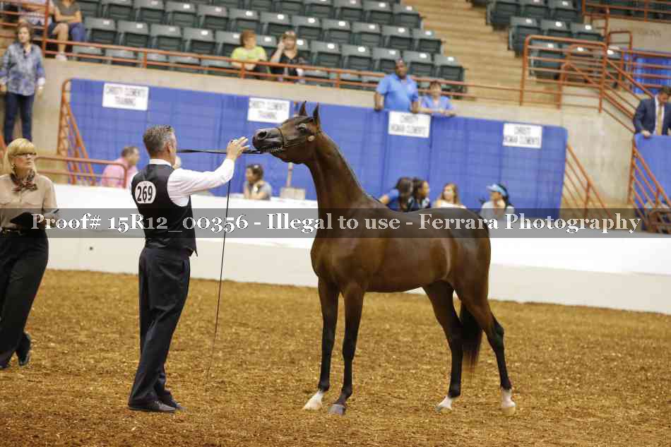 Proof Number 15R12_00356