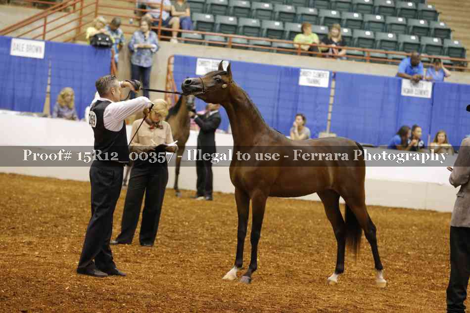 Proof Number 15R12_00357