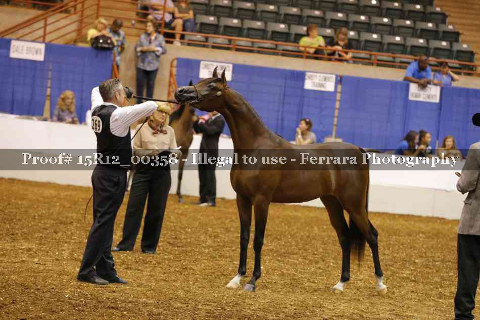 Proof Number 15R12_00358