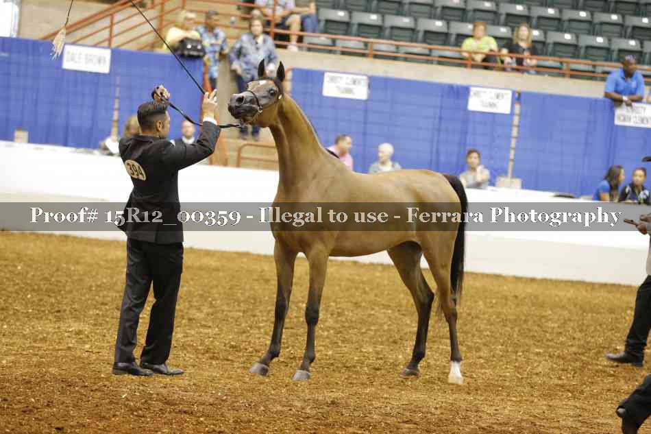 Proof Number 15R12_00359