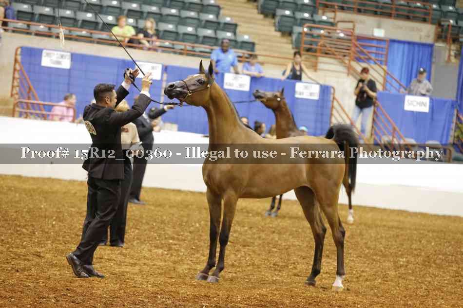 Proof Number 15R12_00360