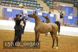 15R12_00360 thumbnail