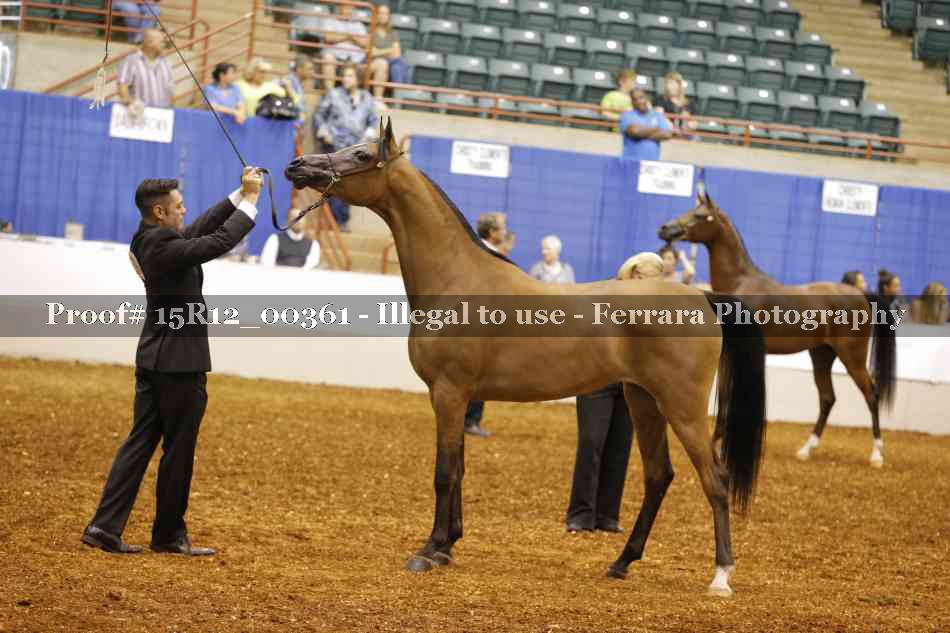 Proof Number 15R12_00361