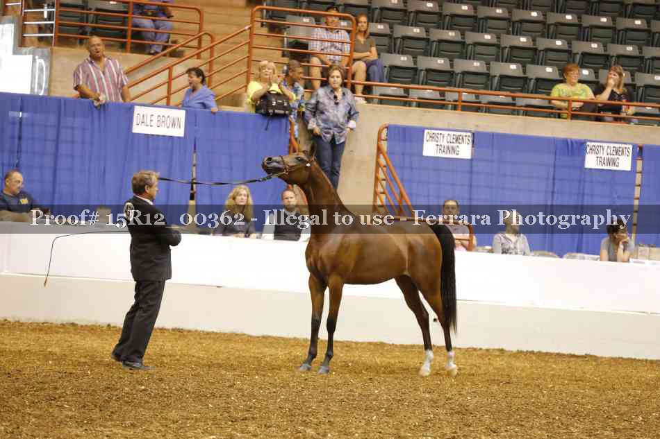 Proof Number 15R12_00362