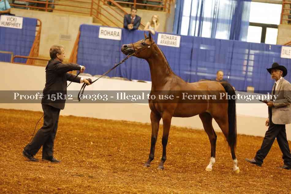 Proof Number 15R12_00363