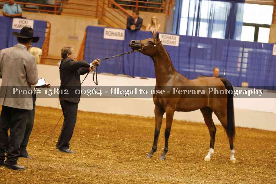 Proof Number 15R12_00364