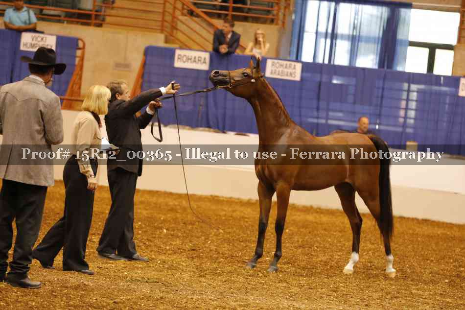 Proof Number 15R12_00365