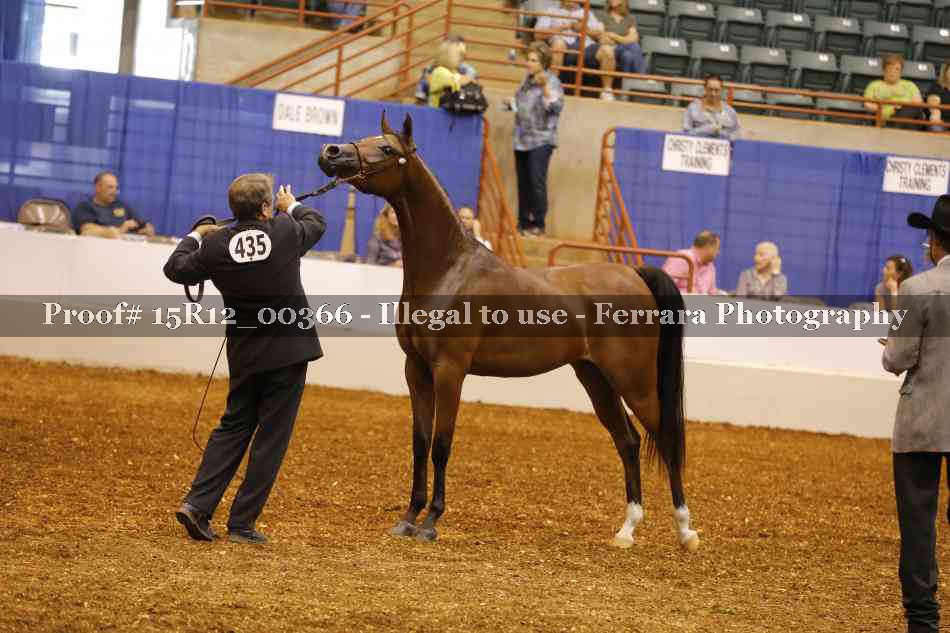 Proof Number 15R12_00366