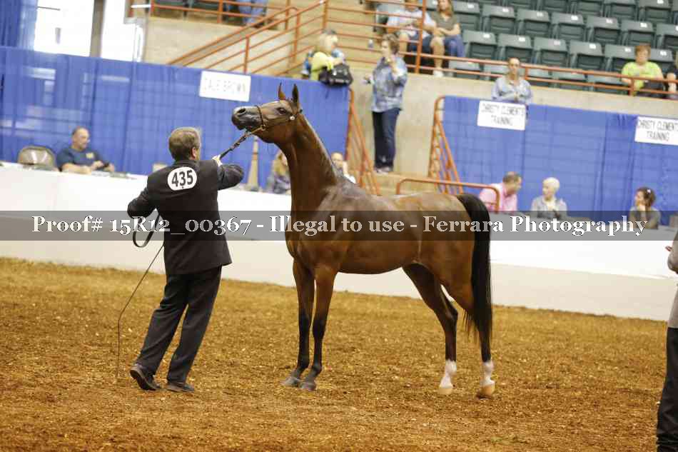 Proof Number 15R12_00367