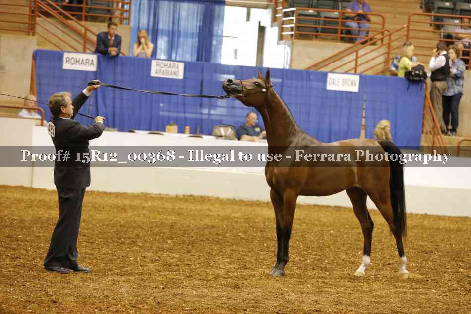 Proof Number 15R12_00368