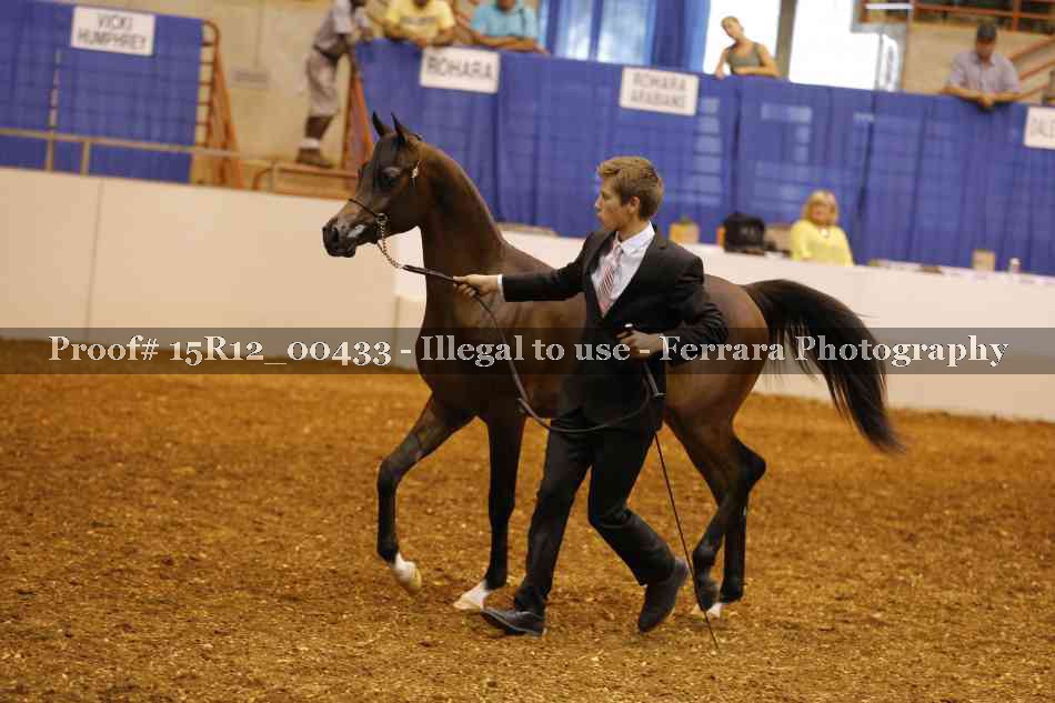 Proof Number 15R12_00433