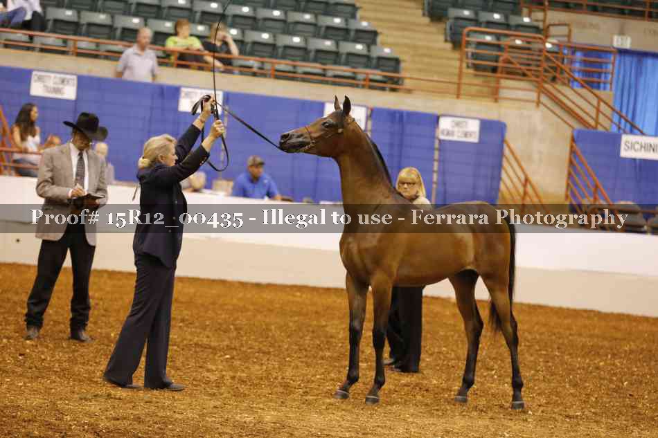 Proof Number 15R12_00435