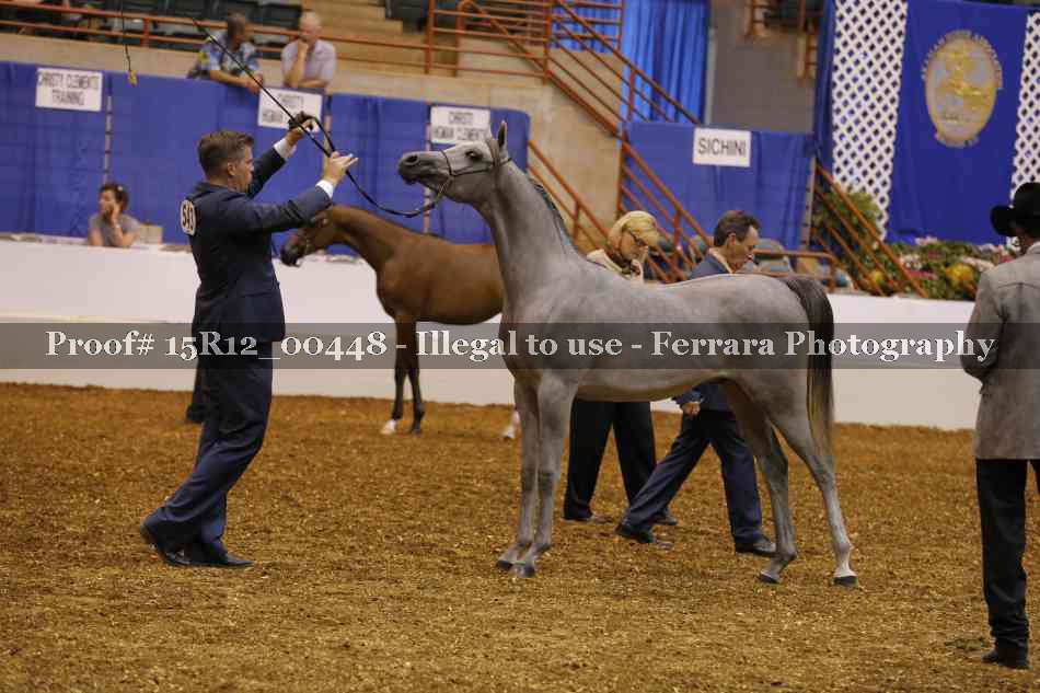 Proof Number 15R12_00448