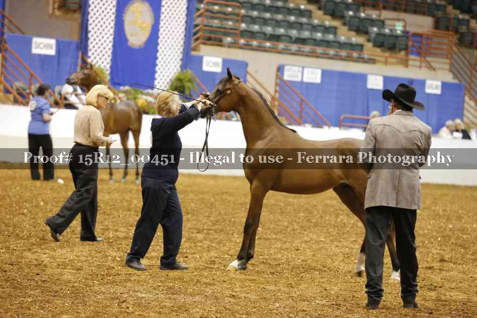 Proof Number 15R12_00451