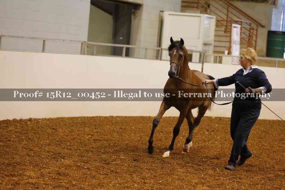Proof Number 15R12_00452