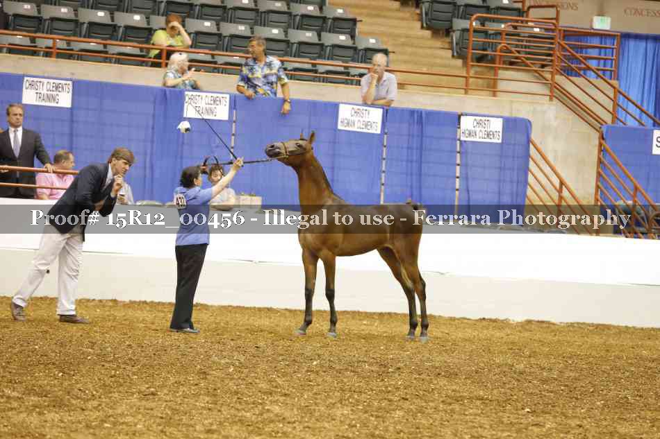 Proof Number 15R12_00456