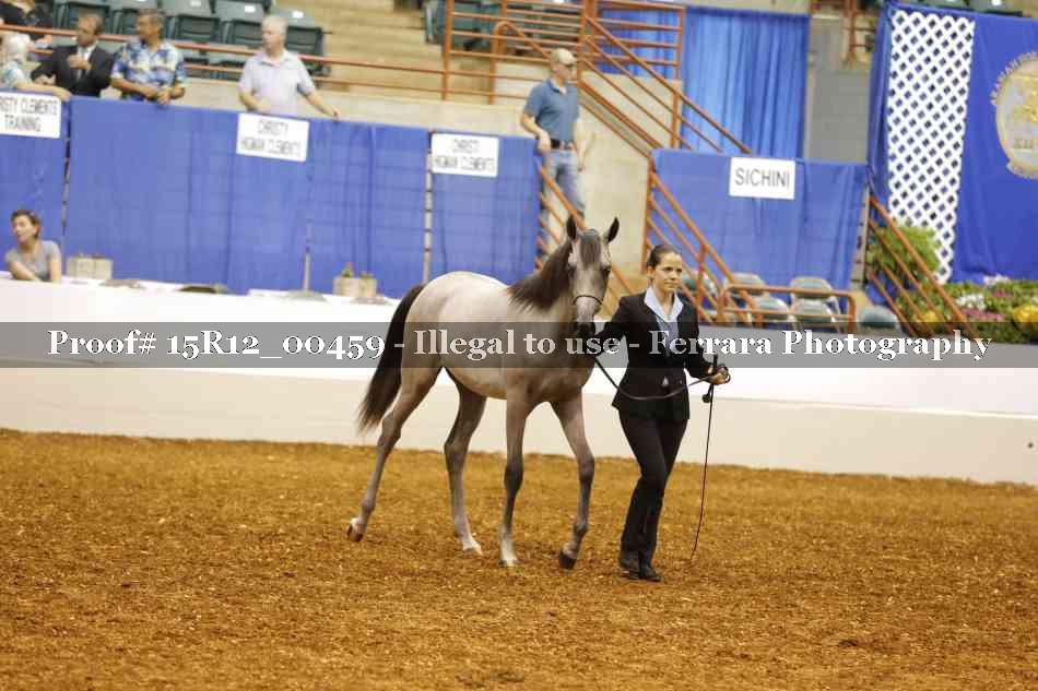 Proof Number 15R12_00459