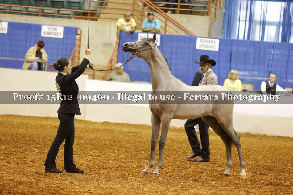 Proof Number 15R12_00460