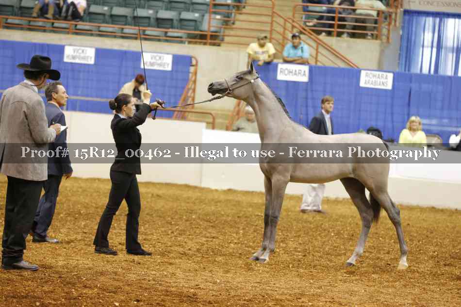 Proof Number 15R12_00462
