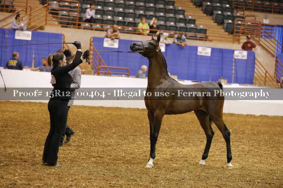 Proof Number 15R12_00464