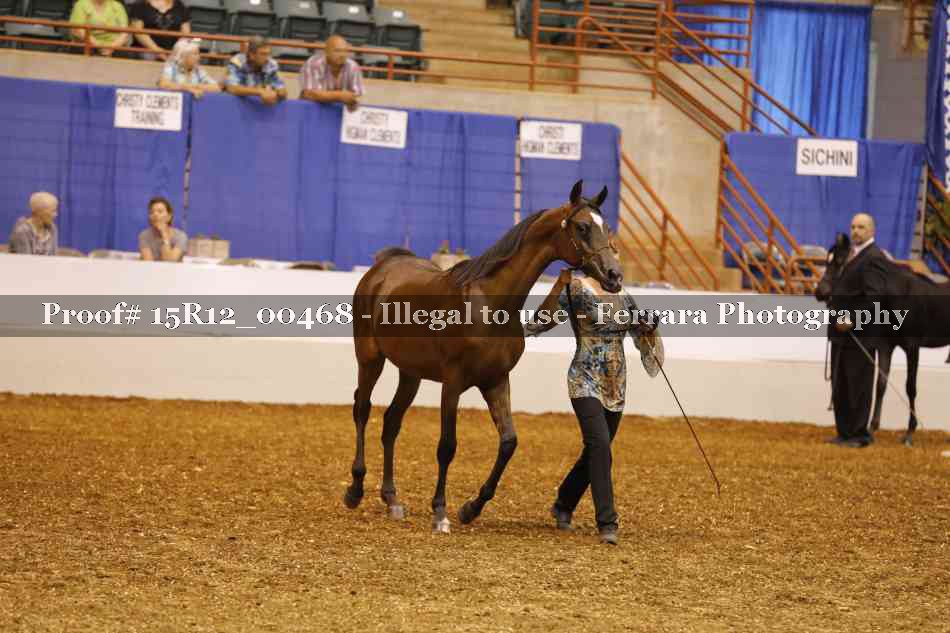 Proof Number 15R12_00468