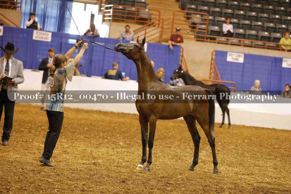 Proof Number 15R12_00470
