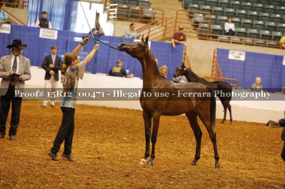 Proof Number 15R12_00471