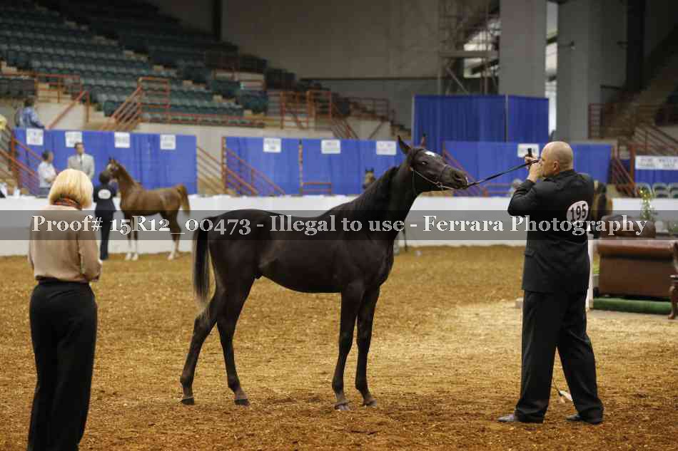 Proof Number 15R12_00473