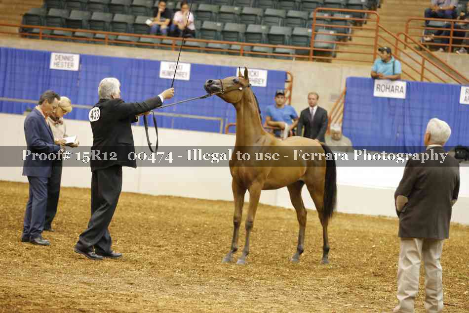 Proof Number 15R12_00474