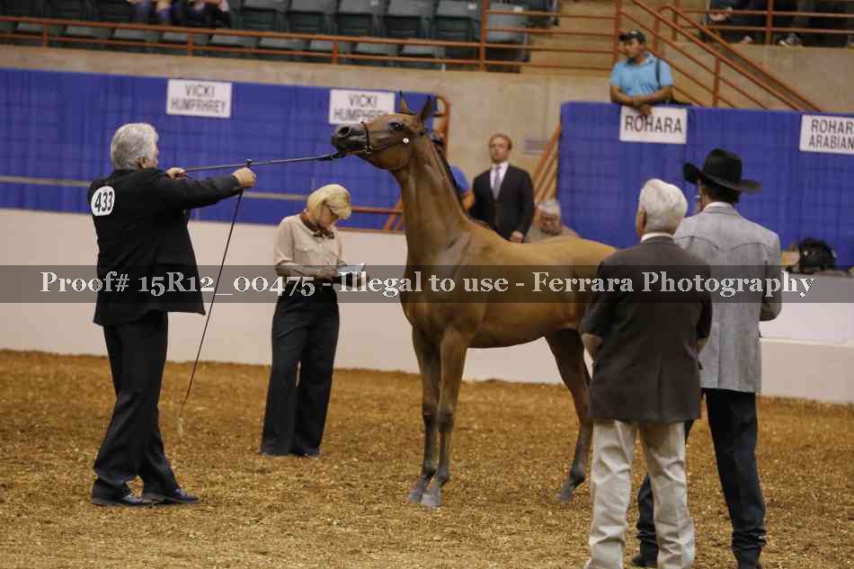 Proof Number 15R12_00475