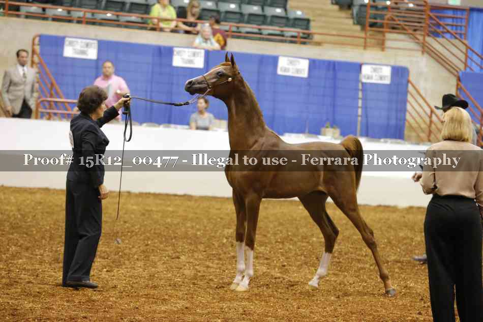 Proof Number 15R12_00477