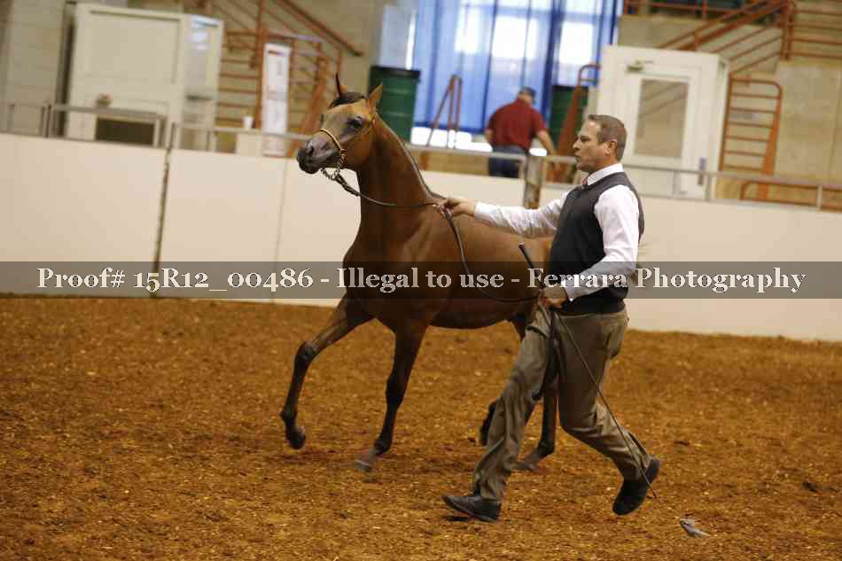 Proof Number 15R12_00486