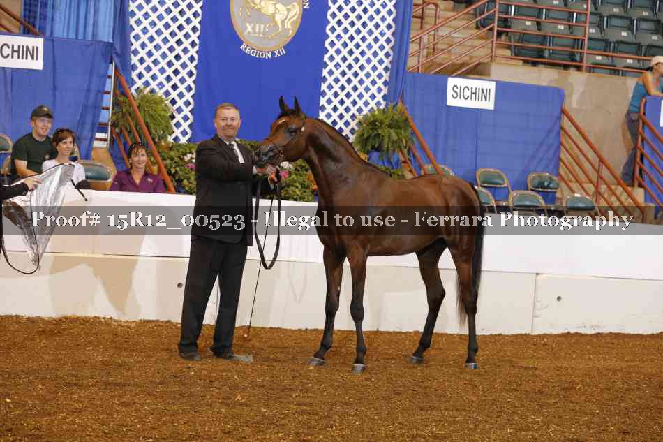 Proof Number 15R12_00523