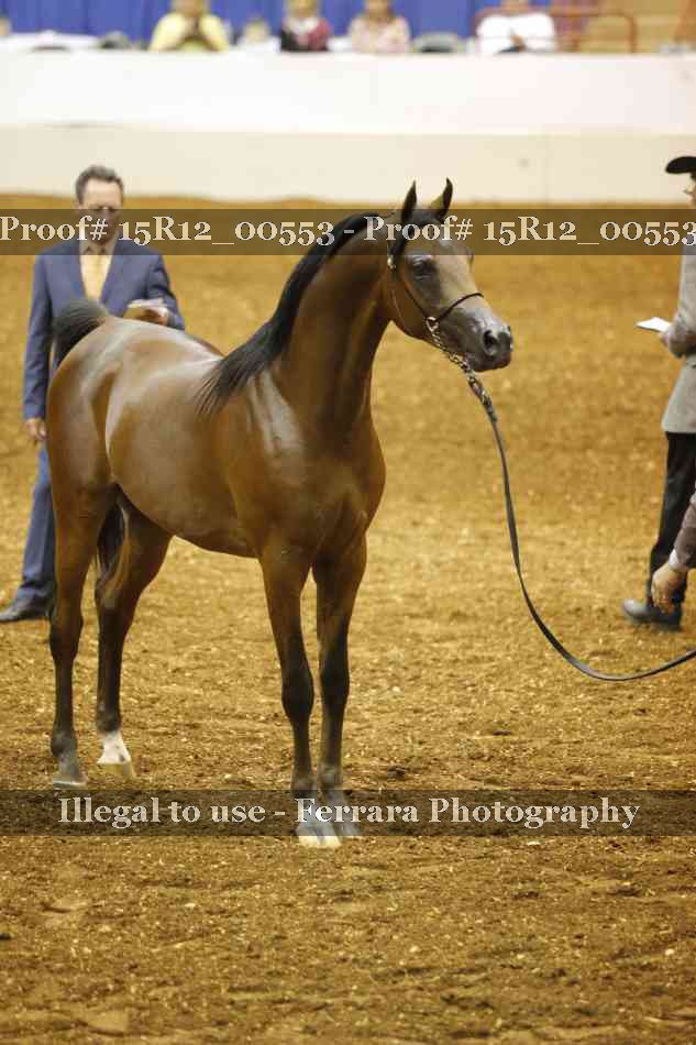 Proof Number 15R12_00553