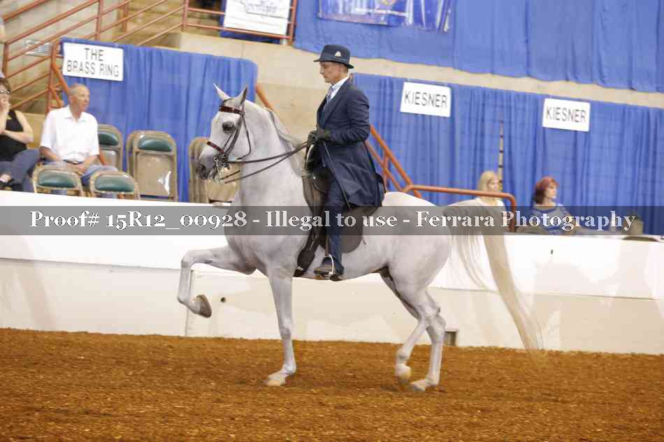 Proof Number 15R12_00928