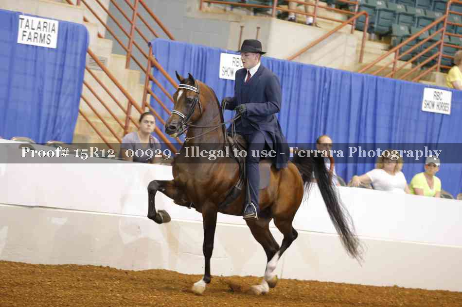 Proof Number 15R12_00929