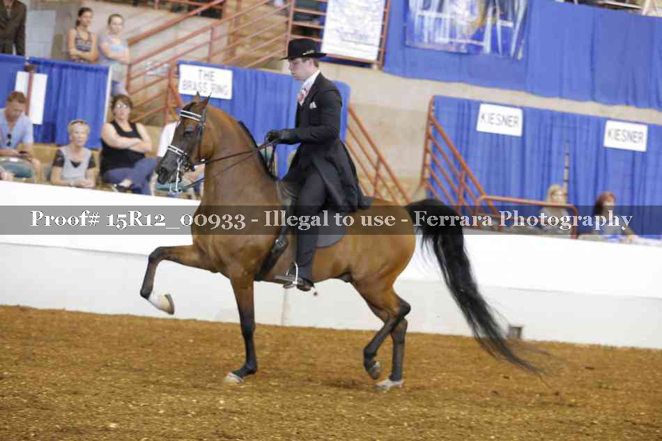 Proof Number 15R12_00933
