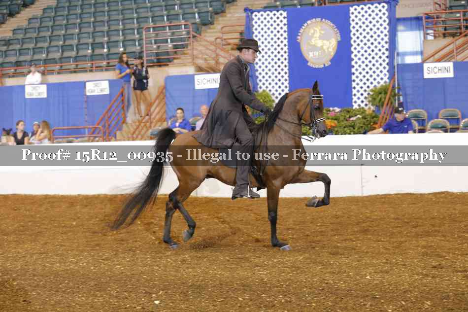 Proof Number 15R12_00935