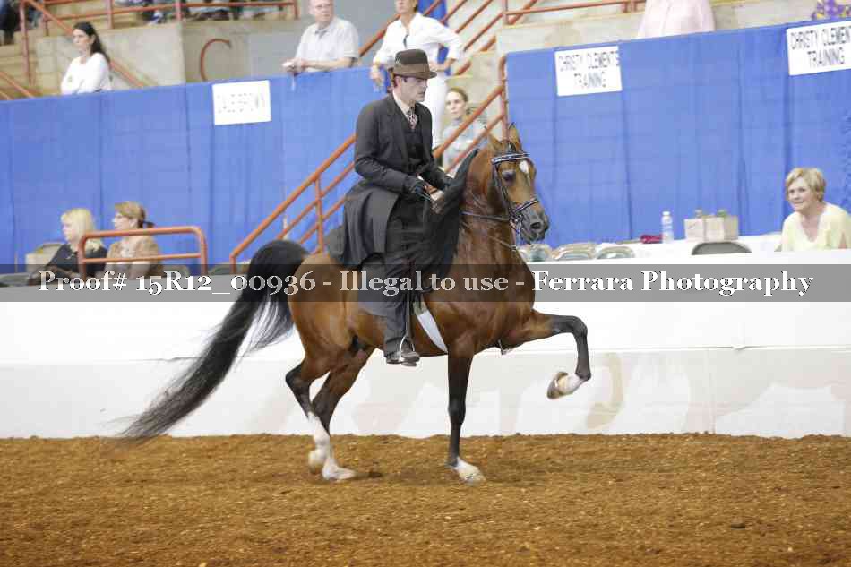 Proof Number 15R12_00936