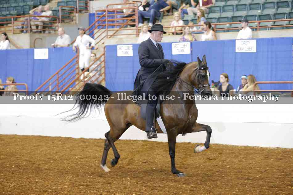 Proof Number 15R12_00942