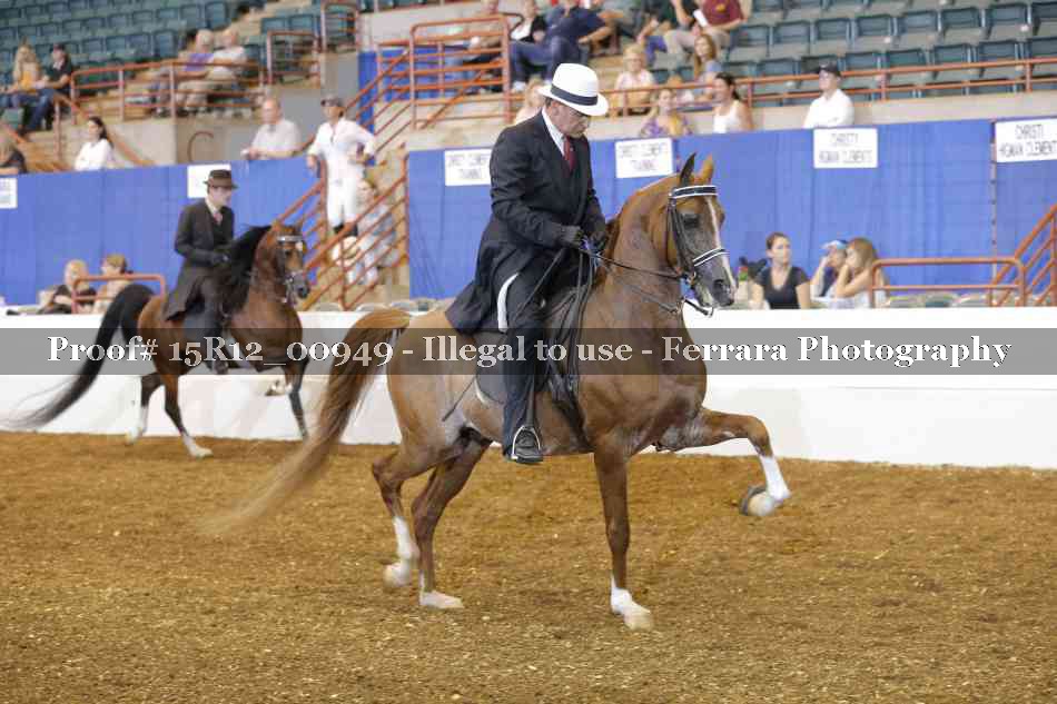 Proof Number 15R12_00949