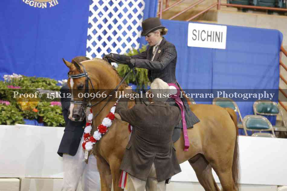 Proof Number 15R12_00966