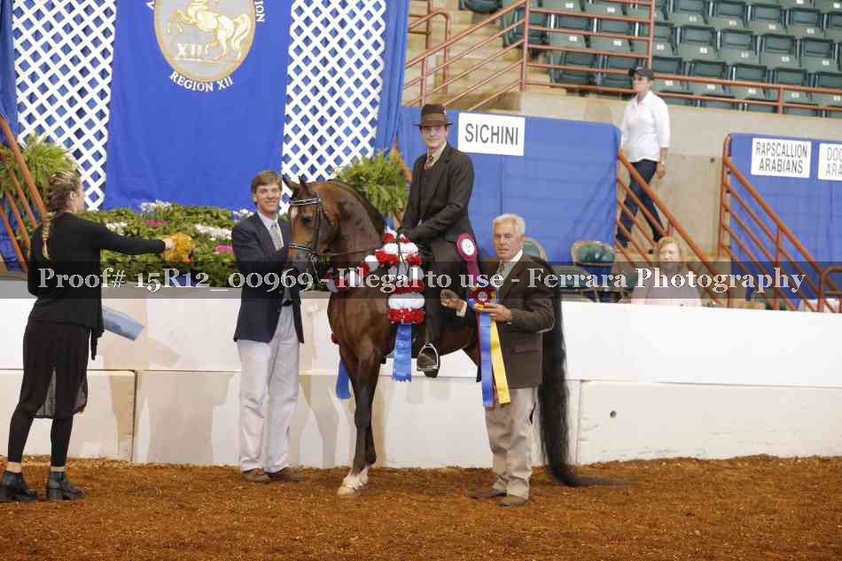 Proof Number 15R12_00969