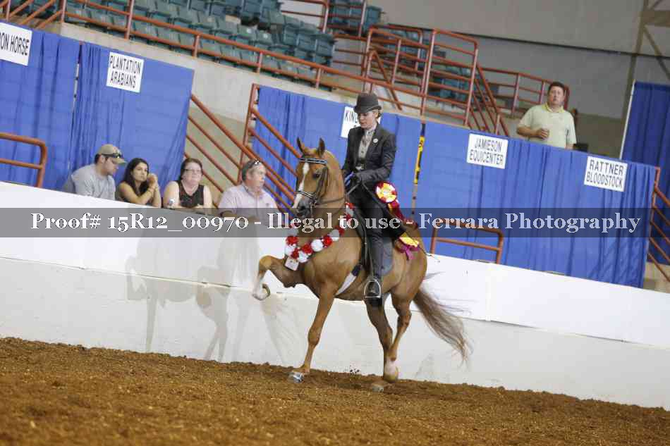 Proof Number 15R12_00970