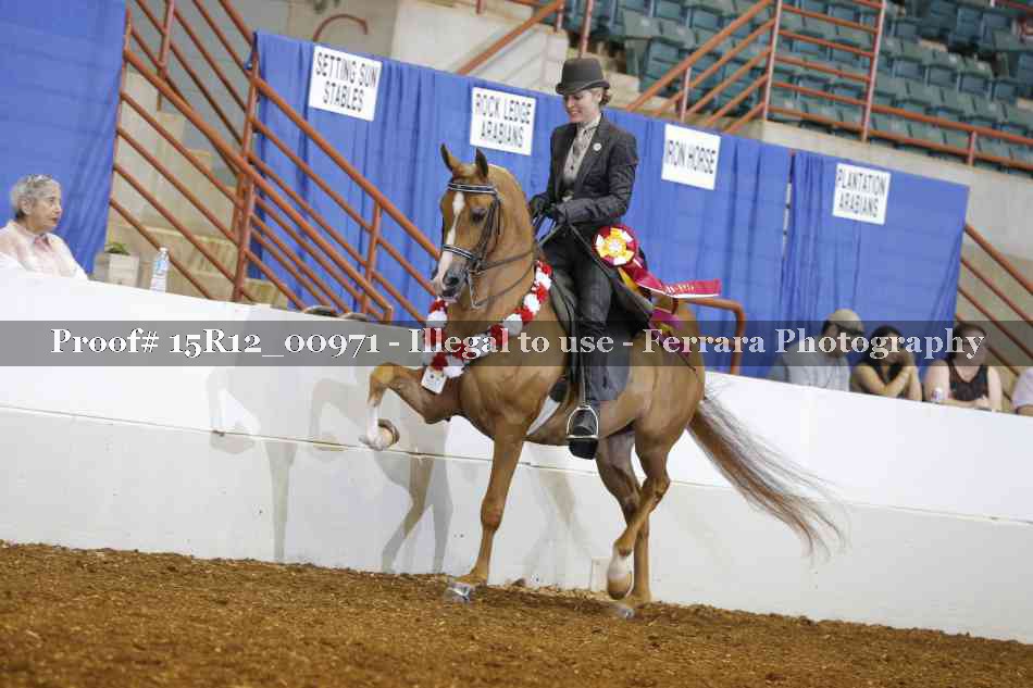 Proof Number 15R12_00971