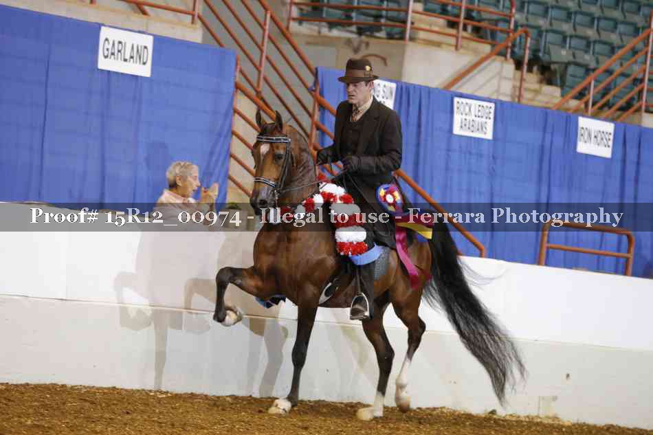 Proof Number 15R12_00974