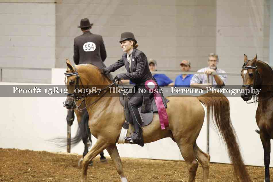 Proof Number 15R12_00987
